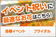 イベント祝いに最適なお花はこちら
