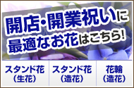 開店・開業祝に最適なお花はこちら